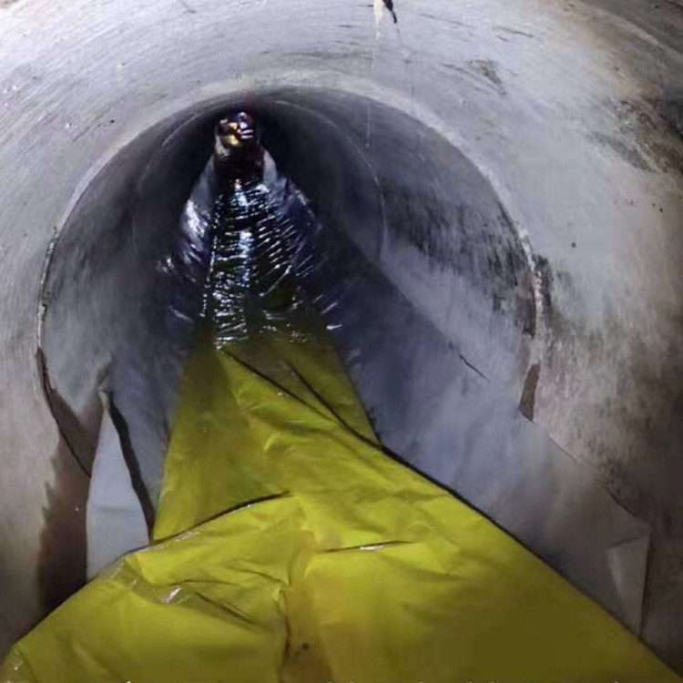 岱山管道光固化修复